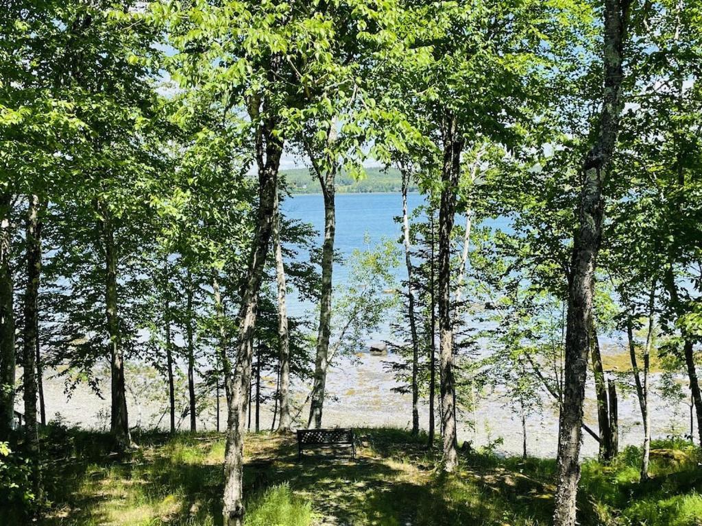 Chalet With A Private Beach In Acadia National Park Бар Харбор Экстерьер фото